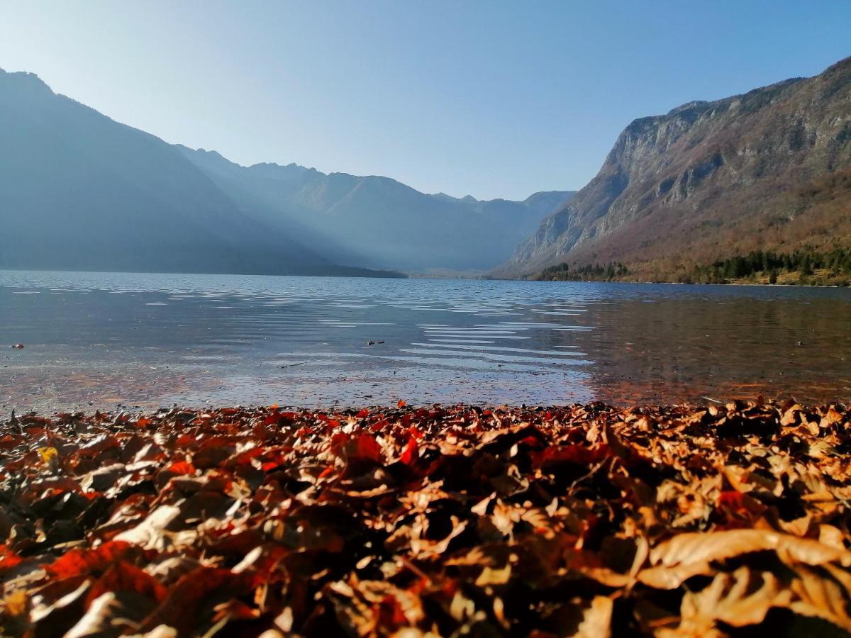 Apartment Korosec Matej Bohinj ภายนอก รูปภาพ